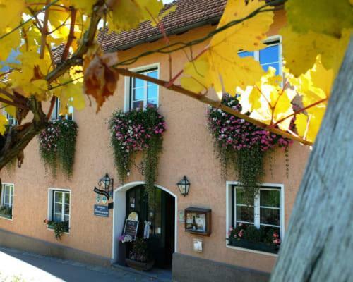 Weingut Donabaum "In Der Spitz" Apartment Spitz an der Donau Exterior photo